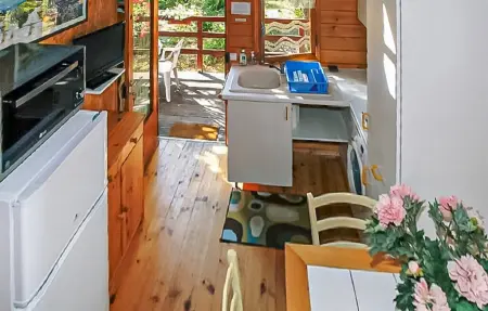 Gîte semi-mitoyen proche Anduz, Maison 4 personnes à Saint Jean du Pin - Photo 5