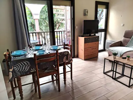 T2 climatisé avec rooftop, parking - 5 pers., Appartement 5 personnes à Saint Cyprien - Photo 1