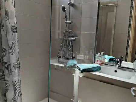 T2 climatisé avec rooftop, parking - 5 pers., Appartement 5 personnes à Saint Cyprien - Photo 17