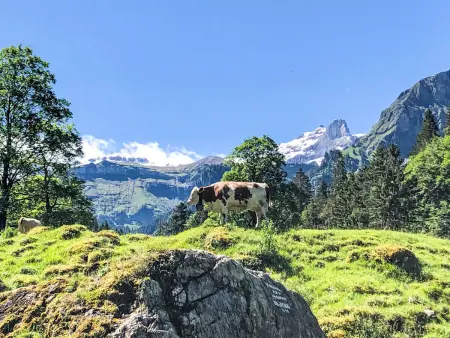 Sennhütte Kiental, Gite 4 personnes à Kiental - Photo 13