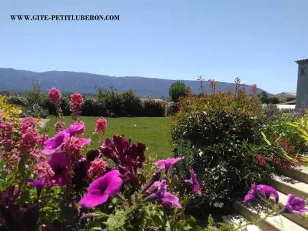 Studio accueillant avec piscine à Cabrières-d'Avignon 40 m² - Photo 23
