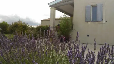 Studio accueillant avec piscine à Cabrières-d'Avignon 40 m² - Photo 25