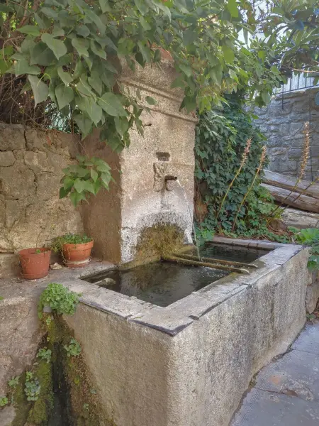 Studio accueillant avec piscine à Cabrières-d'Avignon 40 m² - Photo 36
