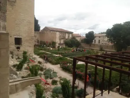 Studio accueillant avec piscine à Cabrières-d'Avignon 40 m² - Photo 53