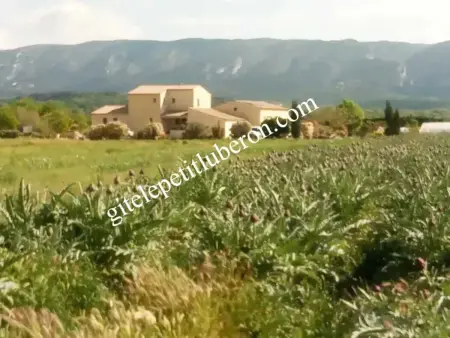Studio accueillant avec piscine à Cabrières-d'Avignon 40 m² - Photo 65