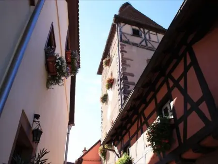Gîte dans maison alsacienne - 4 pers., Gite 4 personnes à Ammerschwihr - Photo 1