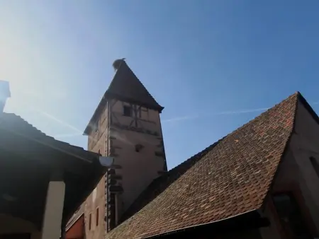 Gîte dans maison alsacienne - 4 pers., Gite 4 personnes à Ammerschwihr - Photo 8