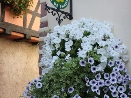 Gîte dans maison alsacienne - 4 pers., Gite 4 personnes à Ammerschwihr - Photo 9