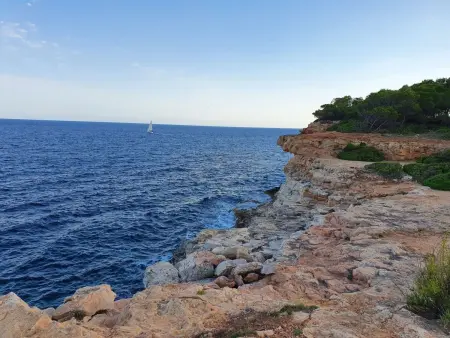 Wald und Meer, Appartement 4 personnes à Cala Pi - Photo 13