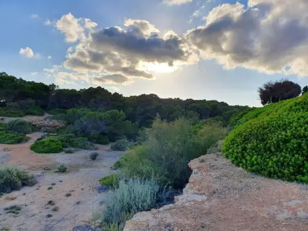 Wald und Meer, Appartement 4 personnes à Cala Pi - Photo 14