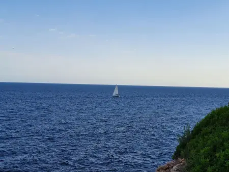 Wald und Meer, Appartement 4 personnes à Cala Pi - Photo 16