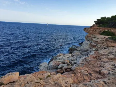 Wald und Meer, Appartement 4 personnes à Cala Pi - Photo 17