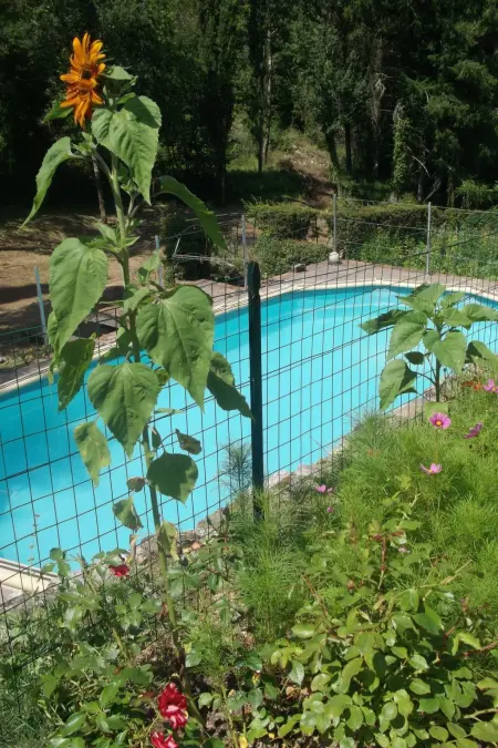 La Capanna, Maison 2 personnes à Gaiole in Chianti - Photo 33