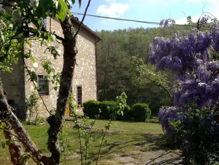 La Capanna, Maison 2 personnes à Gaiole in Chianti - Photo 37