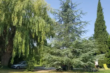 40771, Maison de vacances avec 1 chambre - Photo 6