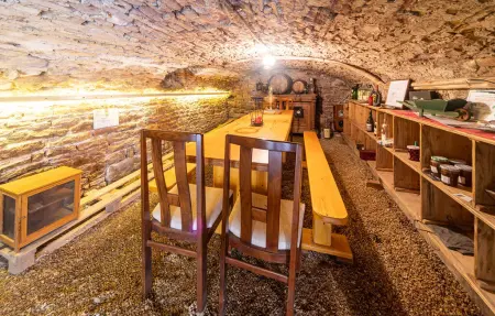 Ancienne Maison de Vigneron, Maison 14 personnes à Chasselas - Photo 23