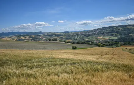 Il Refugio, Maison 4 personnes à Colletorto - Photo 15