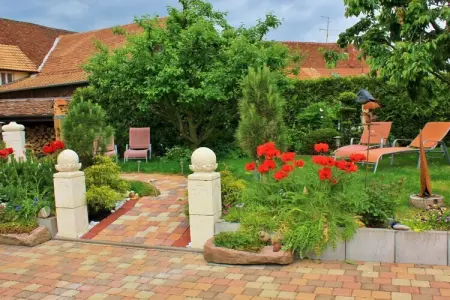 30188, Maison de vacances à Oltingue avec piscine - Photo 1