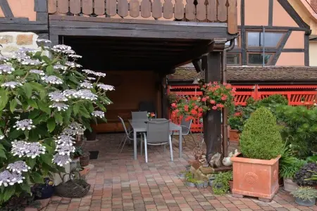 30188, Maison de vacances à Oltingue avec piscine - Photo 3