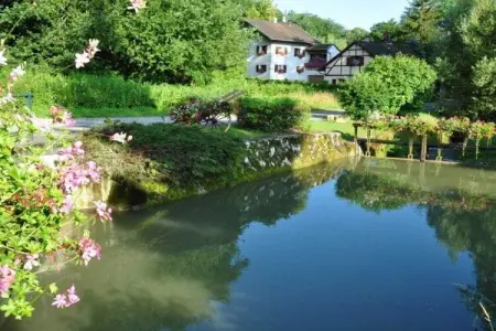 30188, Maison de vacances à Oltingue avec piscine - Photo 18