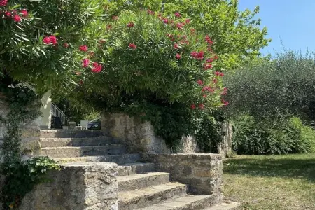 134224, Gîte en Provence - Photo 7