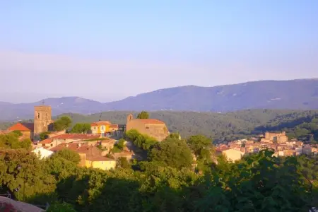 134224, Gîte en Provence - Photo 16