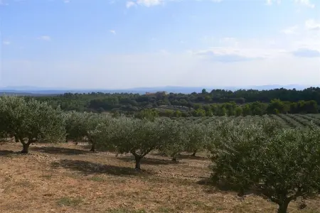 134224, Gîte en Provence - Photo 19