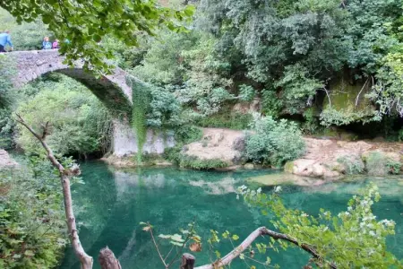 134224, Gîte en Provence - Photo 22