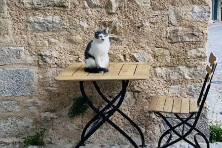 134224, Gîte en Provence - Photo 25
