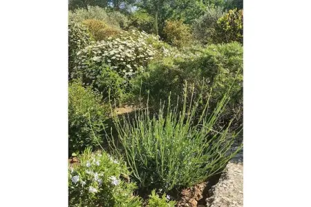 517406, Maison SummerGlitter - Photo 6