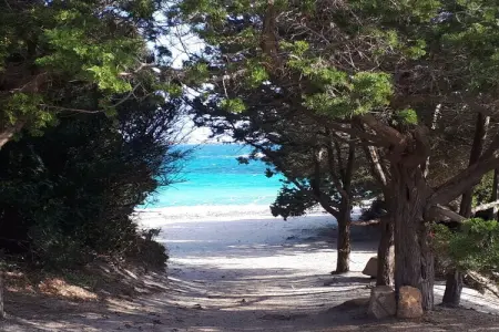 346002, Maison de vacances à Olbia avec piscine - Photo 26