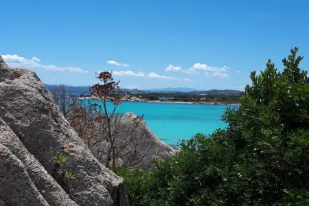 346002, Maison de vacances à Olbia avec piscine - Photo 30