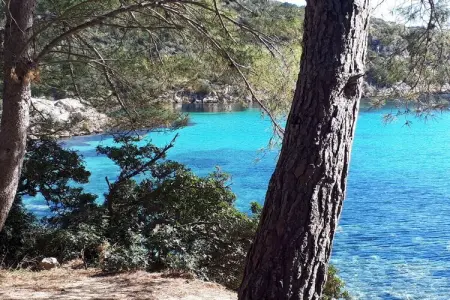 346002, Maison de vacances à Olbia avec piscine - Photo 32