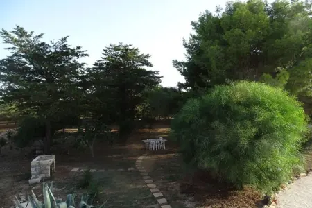 100645, Tenuta Marchese - Photo 4