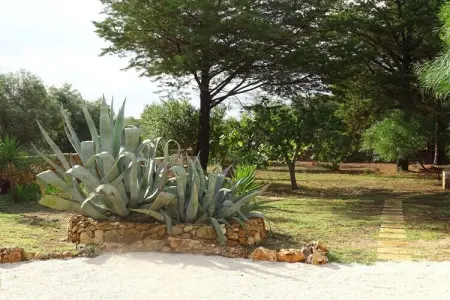 100645, Tenuta Marchese - Photo 6