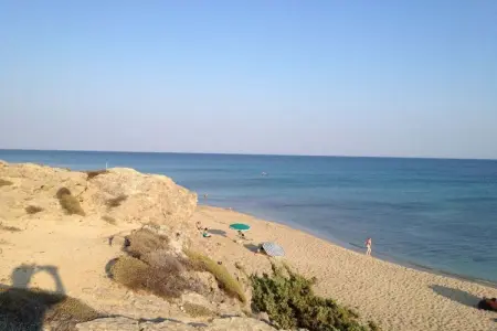 100645, Tenuta Marchese - Photo 17