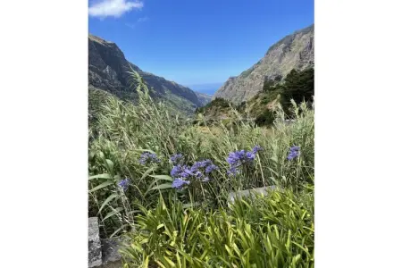 121797, Villa PertodoMar Superior - Photo 25