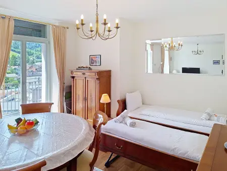 Côté Sud, Appartement 4 personnes à Interlaken - Photo 9