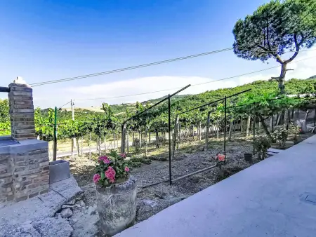 Il casolare di Campagna - Piano terra, Appartement 8 personnes à Archi - Photo 28