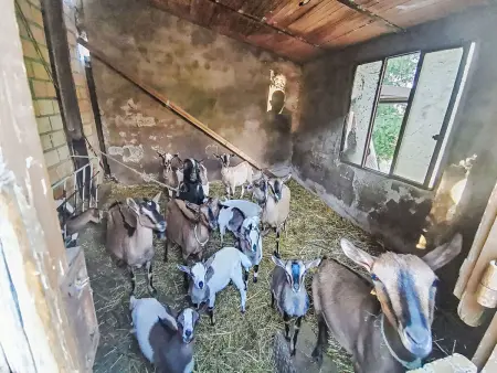 Il casolare di Campagna - Piano terra, Appartement 8 personnes à Archi - Photo 30