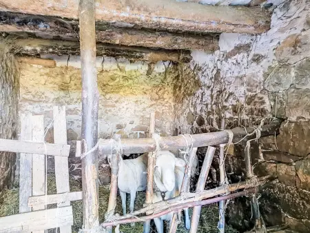 Il casolare di Campagna - Piano terra, Appartement 8 personnes à Archi - Photo 31