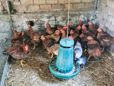 Il casolare di Campagna - Piano terra, Appartement 8 personnes à Archi - Photo 32