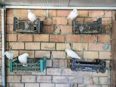 Il casolare di Campagna - Piano terra, Appartement 8 personnes à Archi - Photo 33