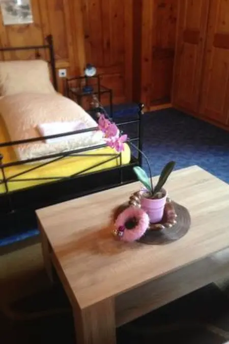 Ferienwohnungen Chasa Valär, (Scuol), Appartement 5 personnes à Scuol - Photo 5