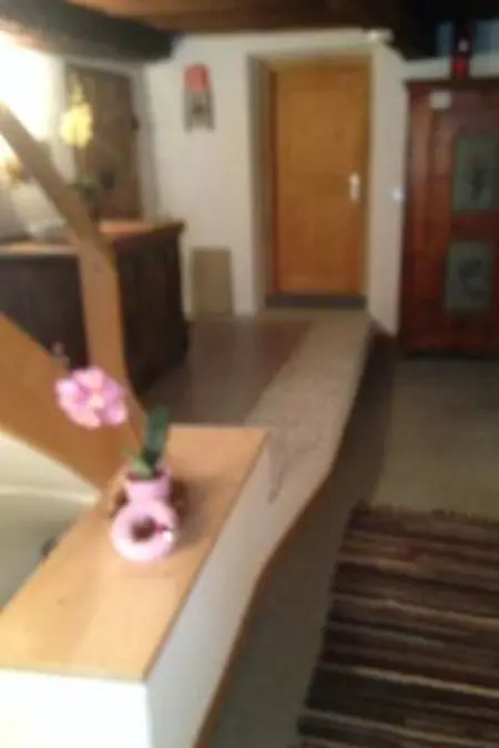 Ferienwohnungen Chasa Valär, (Scuol), Appartement 5 personnes à Scuol - Photo 10