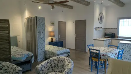 Charmant studio avec piscine partagée à Cabrières-d'Avignon - Photo 3
