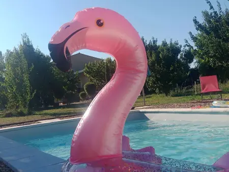 Charmant studio avec piscine partagée à Cabrières-d'Avignon - Photo 4