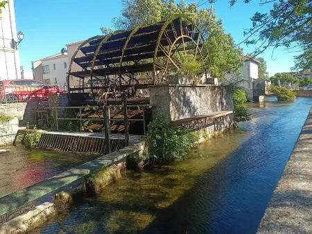 Charmant studio avec piscine partagée à Cabrières-d'Avignon - Photo 26