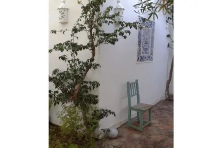229804, Casa das Palmeiras - Photo 2