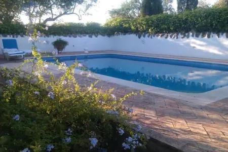 229804, Casa das Palmeiras - Photo 3